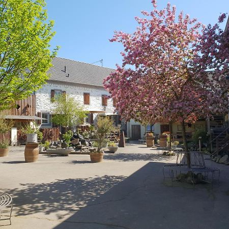 Schoene Wohnung Kleiner Onkel Auf Idyllischem Reiterhof Nahe Burg Eltz Münstermaifeld Εξωτερικό φωτογραφία