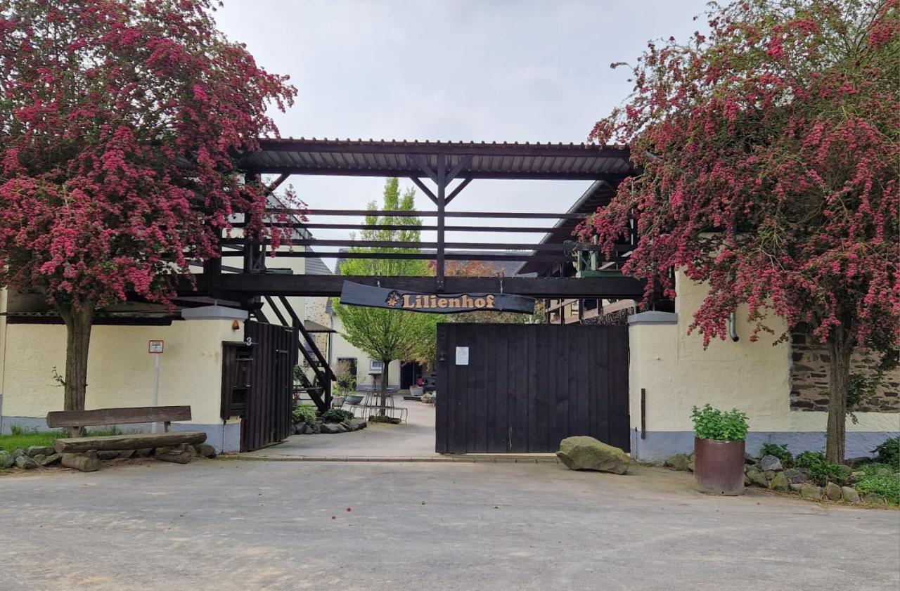 Schoene Wohnung Kleiner Onkel Auf Idyllischem Reiterhof Nahe Burg Eltz Münstermaifeld Εξωτερικό φωτογραφία